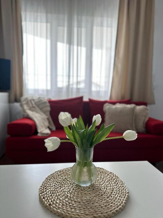 Vila Primavera Vama Veche Zewnętrze zdjęcie
