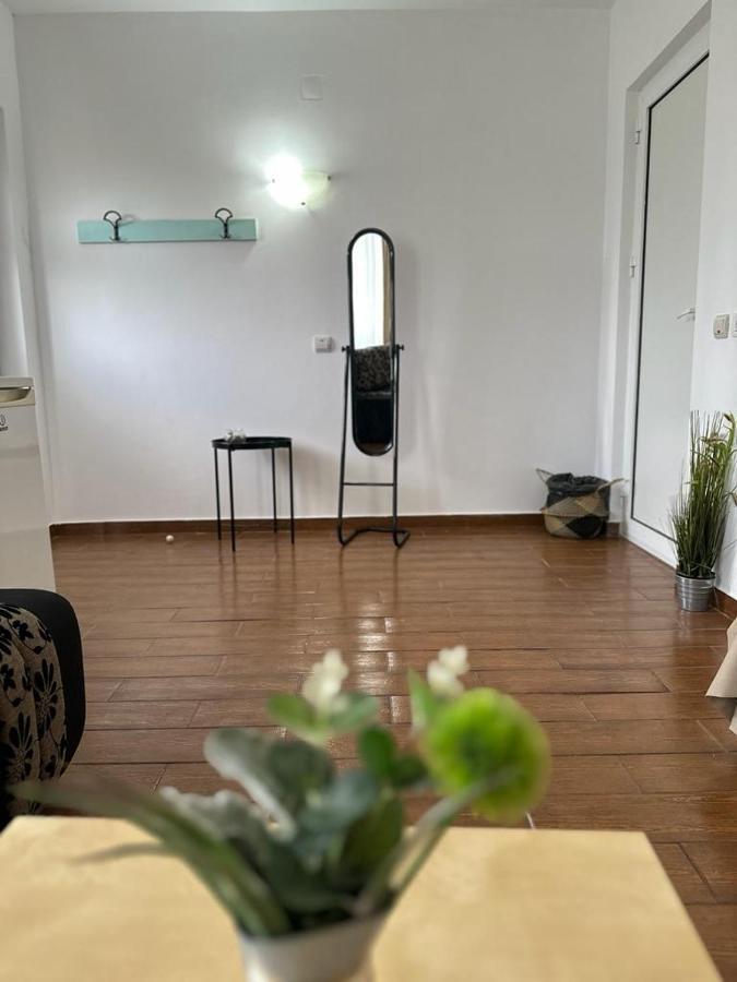 Vila Primavera Vama Veche Zewnętrze zdjęcie